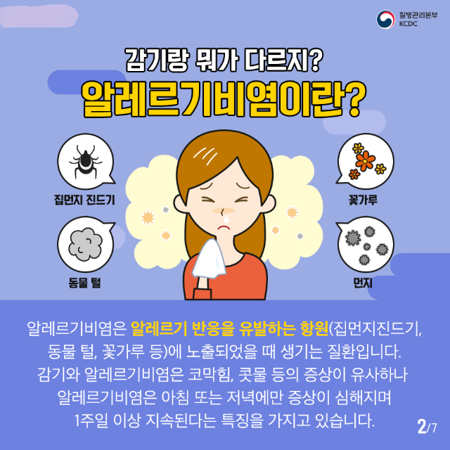 알레르기비염 카드뉴스 (2).png