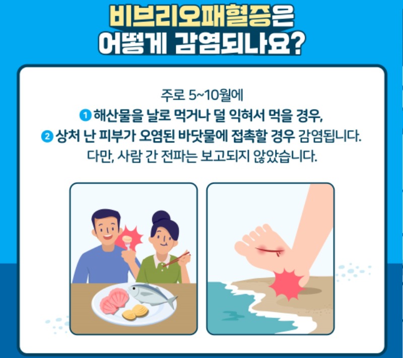 비브리오패혈증 카드뉴스 (3).jpg