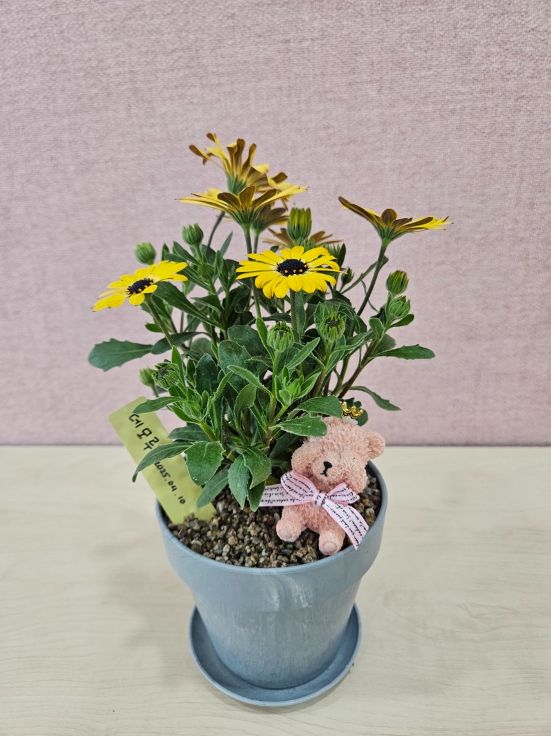 15 KakaoTalk_20250410_171849420_25.jpg