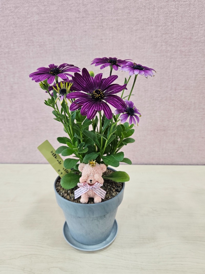 14 KakaoTalk_20250410_171849420_23.jpg