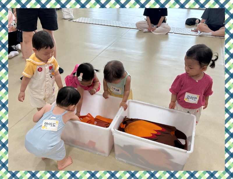 KakaoTalk_20250703_162336055.jpg