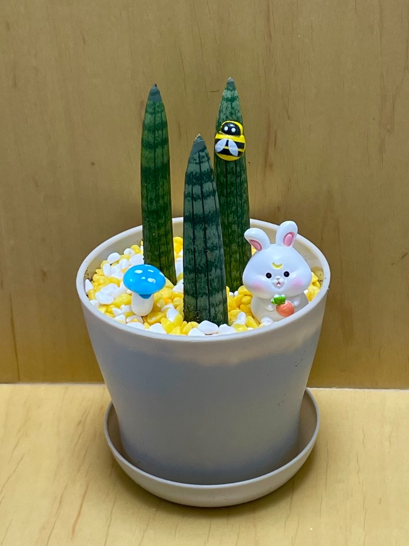 KakaoTalk_20250808_133854044.jpg