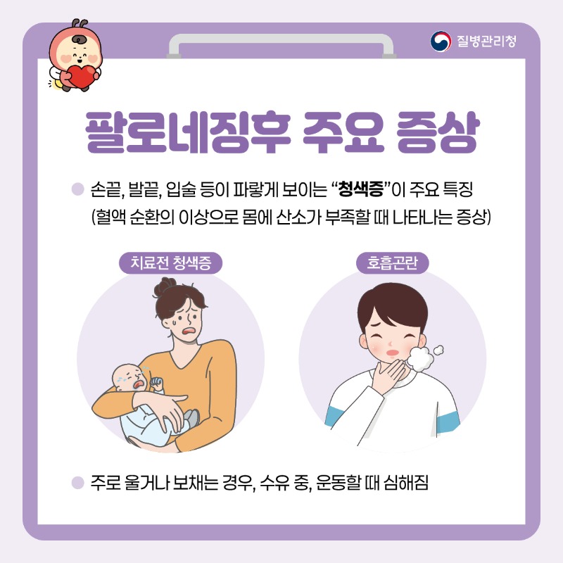 팔로네 징후란 2.jpg