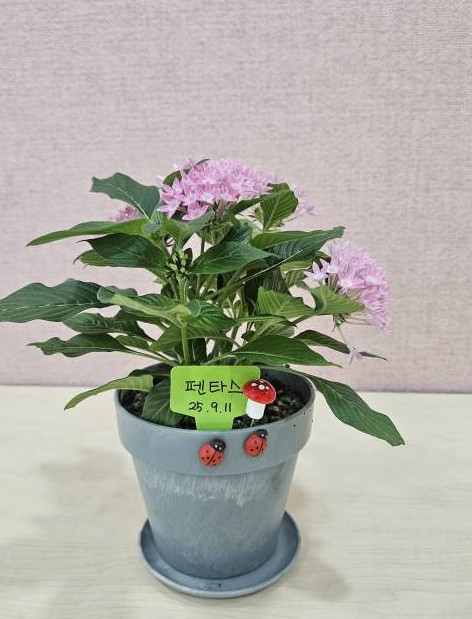 11 KakaoTalk_20250930_194432829_17.jpg