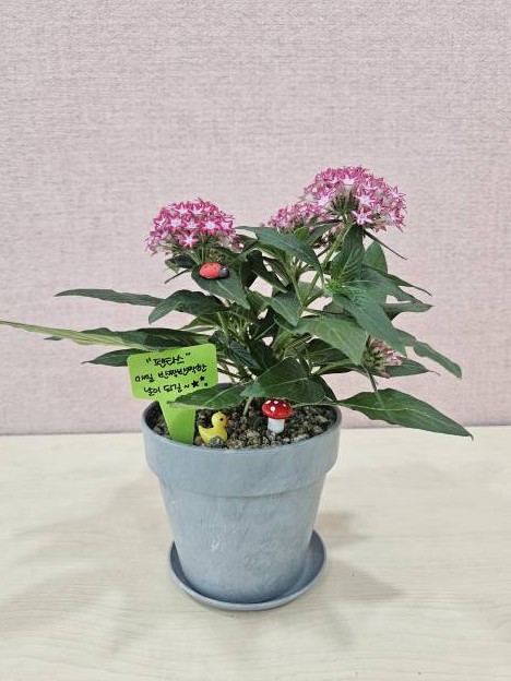 12 KakaoTalk_20250930_194432829_19.jpg