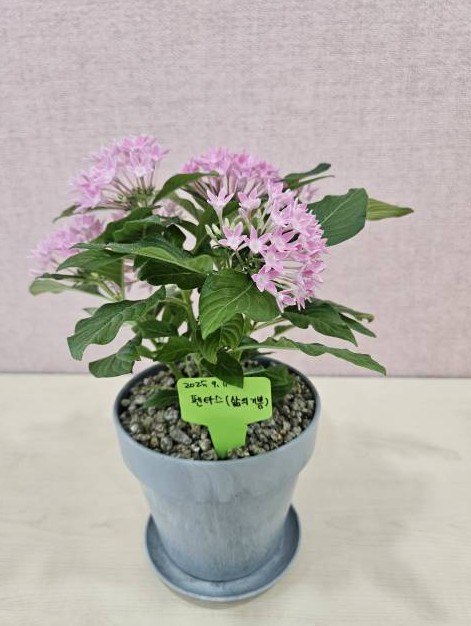 13 KakaoTalk_20250930_194432829_21.jpg