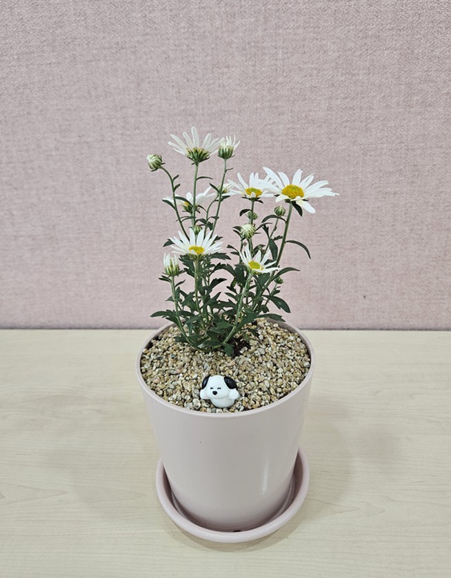 11 KakaoTalk_20251030_160545957_06.jpg