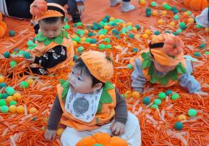 10월3차 방글방글베베터 - 주황주황 호박